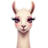 Roma Llama